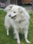 Filip