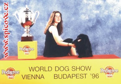 Světový vítěz + BOB 1996