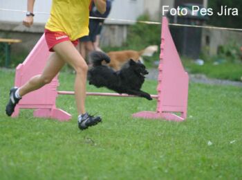 Chip na z�vodech