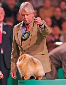 Finch's Ovations for Me - BOB Crufts 2006