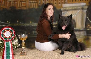 Formator Fertis z Vitonského panství – Evropský vítěz 2008 + BOB