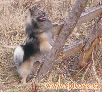 Kam jste to schovali?