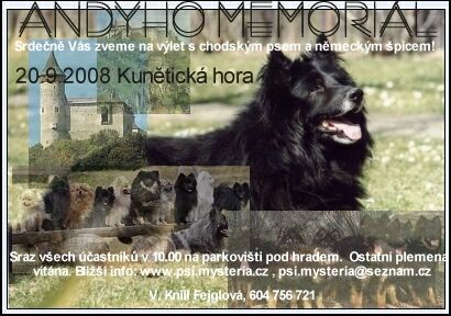 Pozvánka na 3. Andyho memoriál