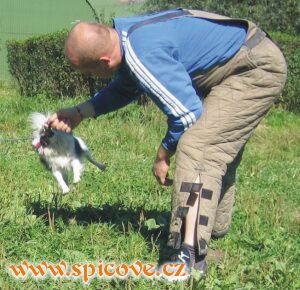 Adélka - Klaudie z Dražilova dvora