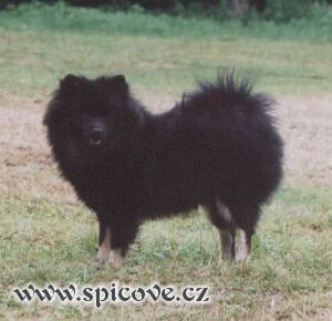 Moje kámoška Buffinka