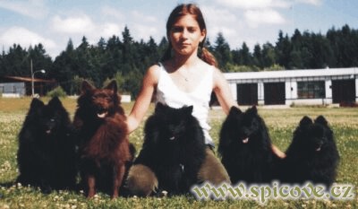 Naše smečka na Zbraslavi 2002