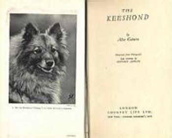 The Keeshond od Mrs. Alice Gatacre