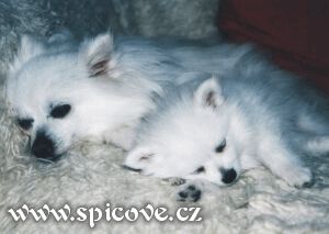 Je-li pěkný otec, bude pravděpodobně pěkná i dcera