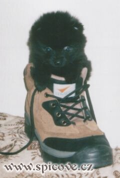 Trpaslíček jak má být