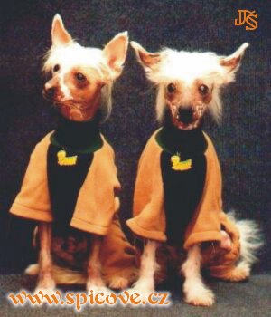 No jo, na boty jsme zapomněli...