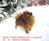 Iveta Ka�parov�