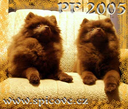 PF 2005