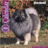 2004