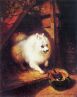 Henriette Ronner Knip - A Spitz Ready to Pounce