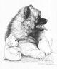 Martha van Loan - Love My Teddy