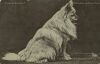 1907