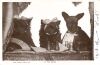1906