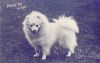 1920