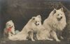 1910