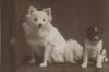 1900