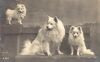 1908