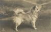 1912