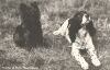 1943