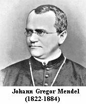 Johann Gregor Mendel