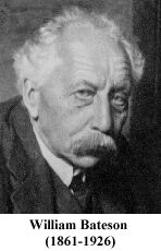 William Bateson