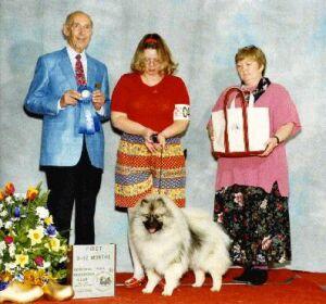 Keeshond Sheminee Honor and Glory - USA