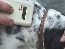 Detekce transponderu