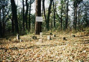 Kunštát - celkový pohled na psí hřbitov