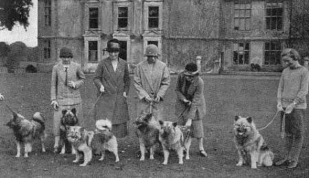 Psi paní Wingfield-Digby okolo roku 1925