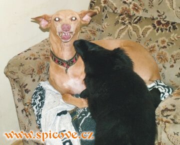 Andělka s Maruškou