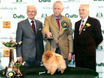 Finch's Ovations For Me - BIG Crufts 2006