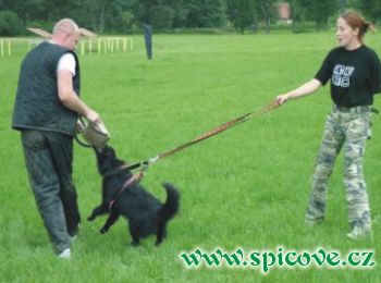 Ana-Angel Danubia Stern