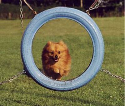 Tyhle nožičky budou pravděpodobně v pořádku...