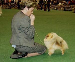 IKC Chicago 2003