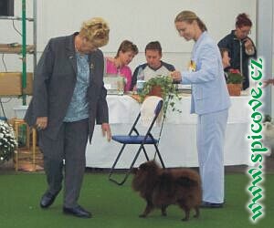 Martina předvádí Zigiho