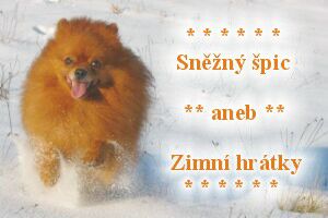 Špicové ve sněhu