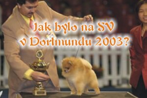 Komentáře a fotografie ze Světové výstavy (trpasličí oranžový pes Sunset Little Red Ball Von Schiefelbein - Světový vítěz, BOB, BIG)