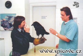 Rumburak v doprovodu svého pána (Viktor Čahoj) u svého veterináře