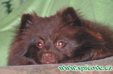 Poznáš když mě něco bolí?