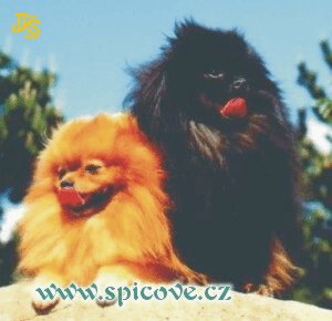 Vendy z Malebného Povltaví (vpravo)