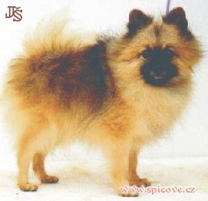 Percy z Blatovského údolí