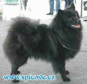 Akim Věčná legenda