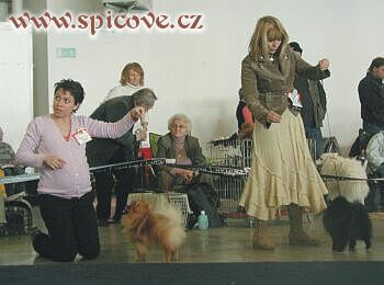 Mozart (CACIB) a Snoop Dog (RCAC)