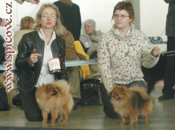 Coco Fantazja Szpic-Moll a Dixi Strážní andělé