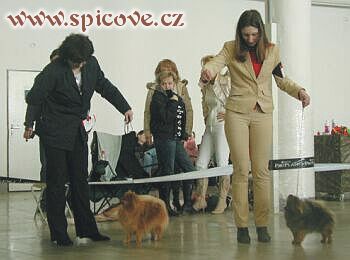 Tesinka Dobrý přítel (CACIB) a Cárinka z Krakovanské skalky (CAC)