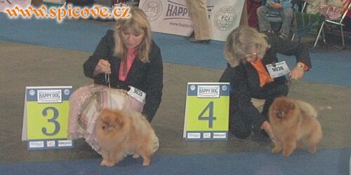 Jan-Shar's One Man Show a Powerpom Born to Succes
